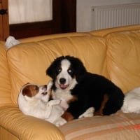 Photo #8077 de Wanda