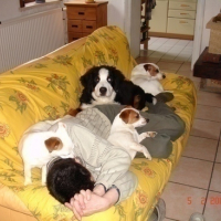 Photo #8083 de Wanda
