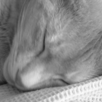 Photo #8341 de Toubidoo
