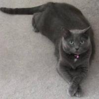 Photo #8575 de Stick