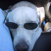Photo #9259 de Tess