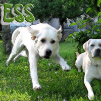 Photo #9265 de Tess