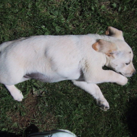 Photo #9271 de Tess