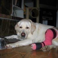 Photo #9277 de Tess