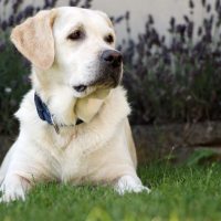 Photo #9283 de Tess