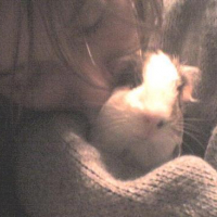 Photo #10033 de Nanou