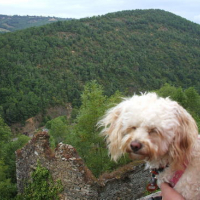 Photo #10165 de Bakara