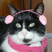 Photo #10453 de Félix