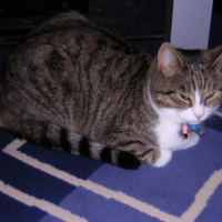 Photo #10459 de Kira