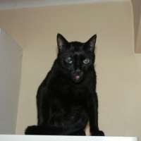 Photo #10465 de Tabasco