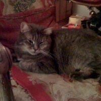 Photo #10471 de Bidoune