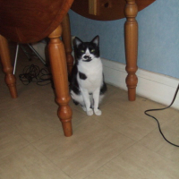 Photo #10531 de Salem