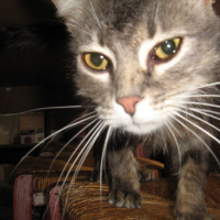 Photo #10681 de Bubulle