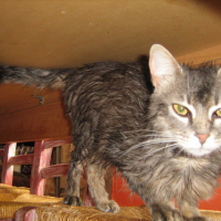 Photo #10687 de Bubulle