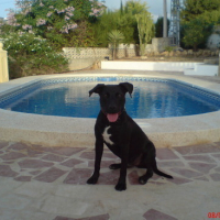 Photo #11083 de Caïzer