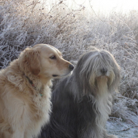 Photo #11341 de Arnac