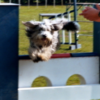 Photo #11347 de Arnac