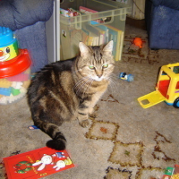 Photo #11713 de Khali