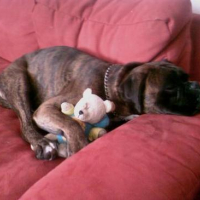 Photo #11899 de Flip