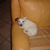 DSC01050