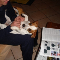 Photo #11971 de Wanda
