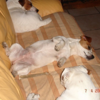 Photo #11989 de Wanda
