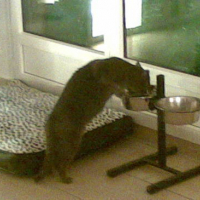 Photo #12127 de Moisha