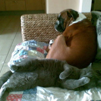 Photo #12133 de Moisha
