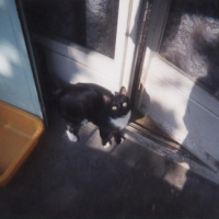 Photo #13399 de Mimi 