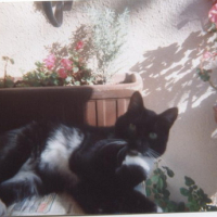 Photo #13405 de Mimi 