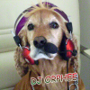 DJ_ORPHEE