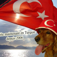 orphee_turquie