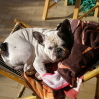 un bain de soleil le matin j'adore ca