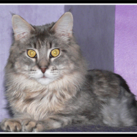 Photo #14821 de Dooku