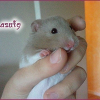 Photo #15745 de Lazuly