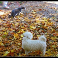 Photo #15919 de Minette