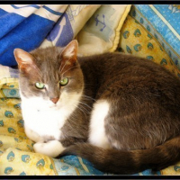 Photo #16087 de Minette