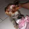 DSCN7248