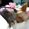 Picture_89