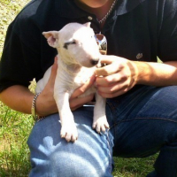 Photo #16885 de Cash