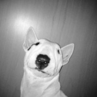 Photo #16903 de Cash