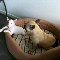 Photo #16909 de Cash
