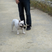 Photo #17011 de Roxy