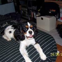 Photo #17665 de Pénélope