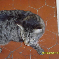 Photo #18169 de Fripouille