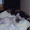 Photo_DIXON_081
