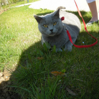 Photo #19027 de Kilya