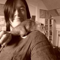 Photo #19219 de Titus