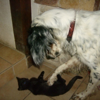 Photo #19315 de Po
