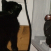 Photo #19357 de Po